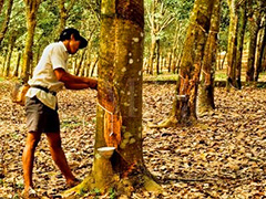 如何分析橡胶期权流动性差的原因？流动性对期权交易有何影响？  第1张