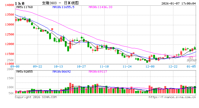 生猪期货上市五周年 从“稳起步”到“深扎根” 第2张 生猪期货上市五周年 从“稳起步”到“深扎根” 第2张