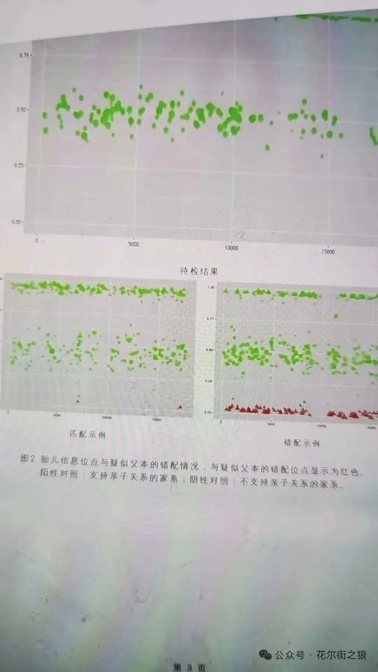 4000点网红分析师自爆怀了50岁基金经理的孩子  第5张
