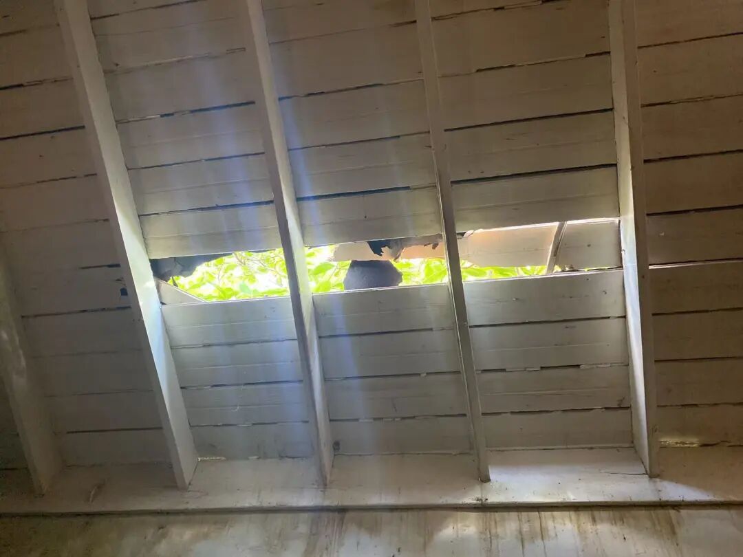 中国超市,开到宇宙尽头 第2张 中国超市,开到宇宙尽头 第2张