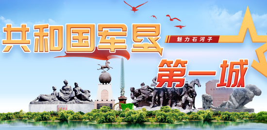 【申万宏源研究春节见闻】长空有翼，烟火有声——石河子春节里的产业新光  第1张