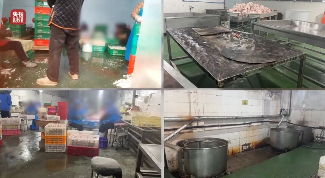 荐股亏损玩消失、万能神药是三无产品、给AI大模型投毒.....“3·15”晚会曝光了这些 第10张 荐股亏损玩消失、万能神药是三无产品、给AI大模型投毒.....“3·15”晚会曝光了这些 第10张